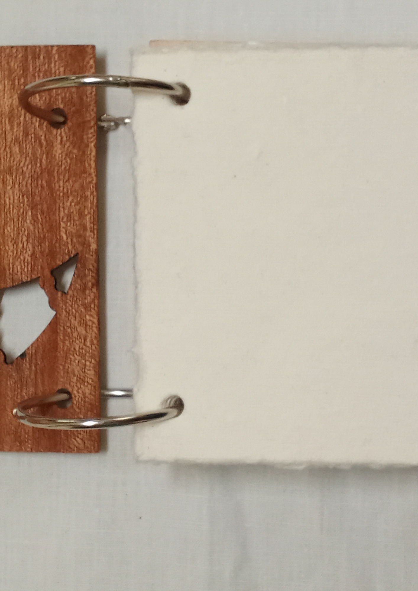 Carnet A6 en acajou – Lune élégante